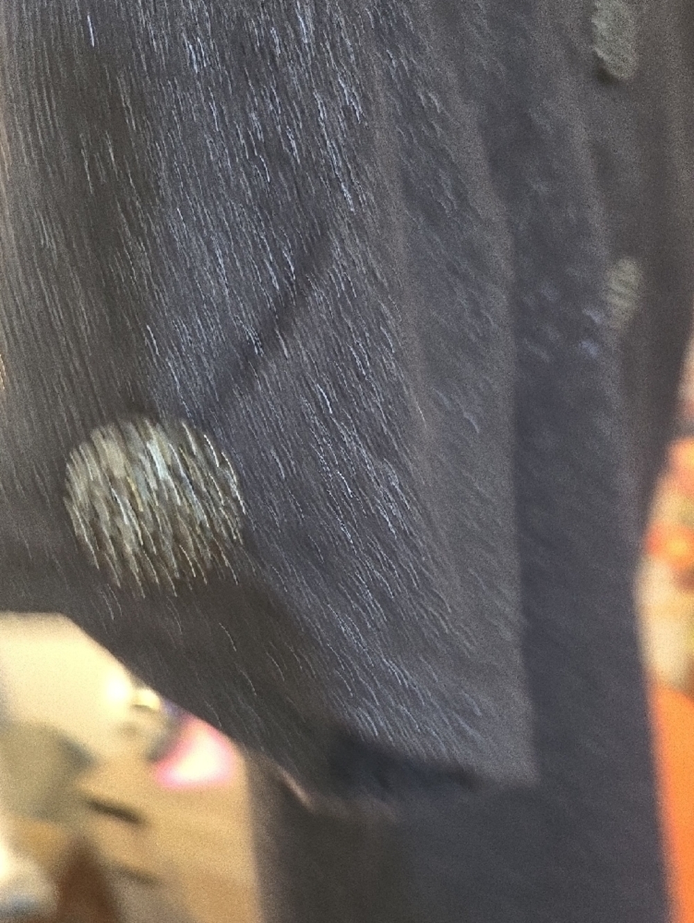 Nicole Shimmering Dark Gray Short-Sleeve Cropped Sweater - Picture 6 of 6